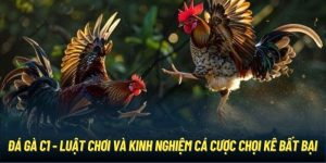 Đá Gà C1 - Luật Chơi Và Kinh Nghiệm Cá Cược Chọi Kê Bất Bại