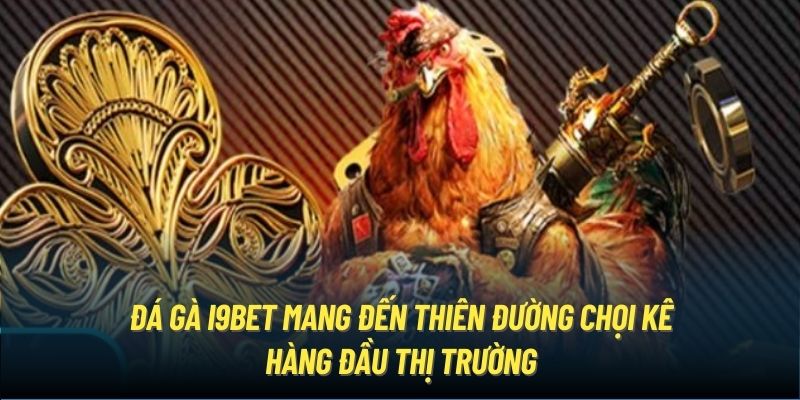 Đá gà i9Bet mang đến thiên đường chọi kê hàng đầu thị trường