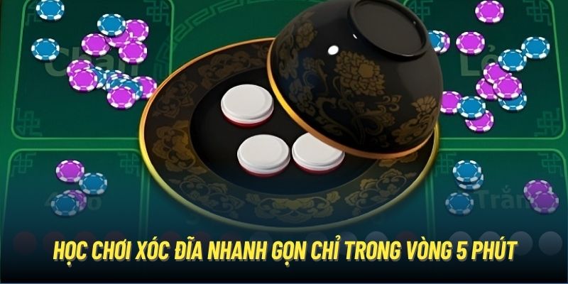 Học chơi xóc đĩa nhanh gọn chỉ trong vòng 5 phút