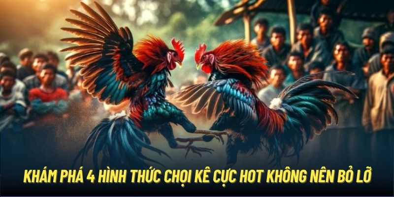 Khám phá 4 hình thức chọi kê cực hot không nên bỏ lỡ