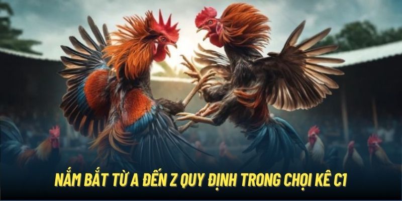 Nắm bắt từ A đến Z quy định trong chọi kê C1